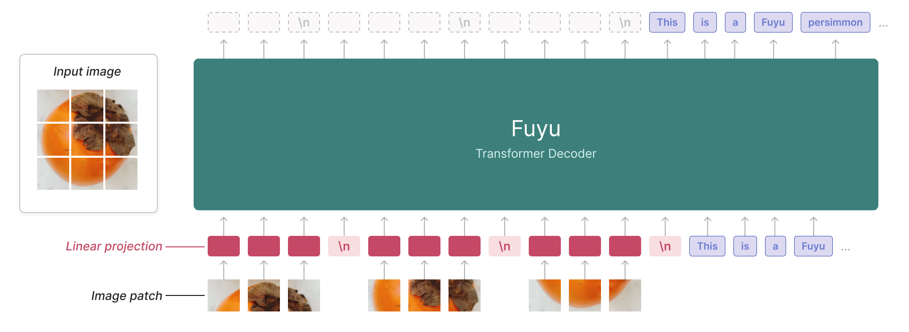 fuyu